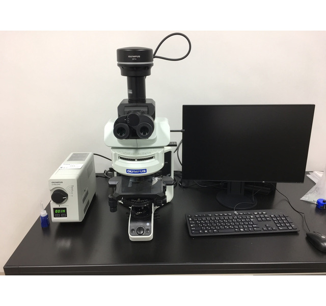 システム生物顕微鏡（蛍光観察） | CUPID : 千葉大学主要機器 